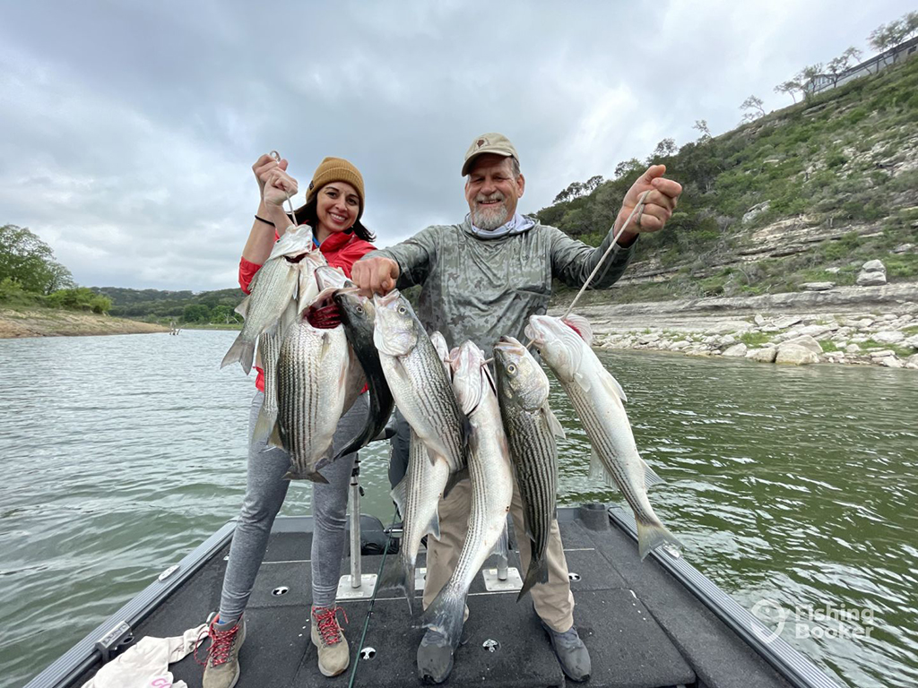 A woman and a man stand aboard a boat with a string of several Striped Bass on the Guadalupe River in Canyon Lake