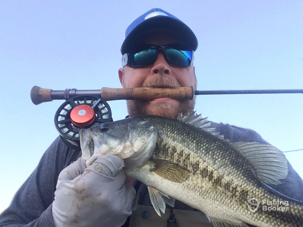 A closeup of a man with a fly rod in his mouth holding a Largemouth Bass towards the camera on a sunny day