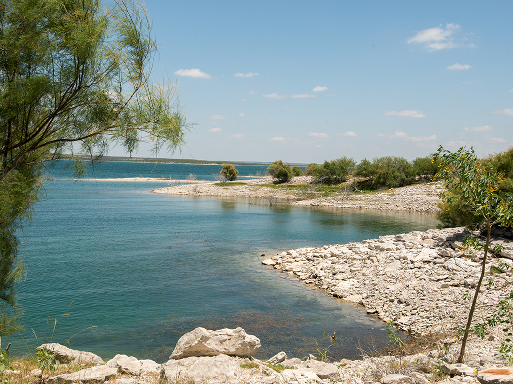 A view of Canyon Lake from shore with a rocky shoreline curving round to the right of the photo and a green tree on the left, along with a hydrilla visible in the water by the shore