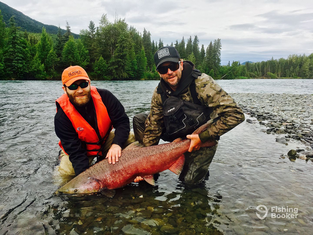 A fishing guide helps an angler release a large spawning Salmon back into a river on a cloudy day surrounded by evergreen trees and mountains