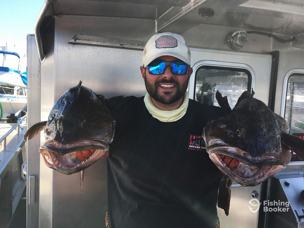 A man in sunglasses and a baseball cap on a boat holds a Lingcod in each hand with their large mouths gaping towards the camera