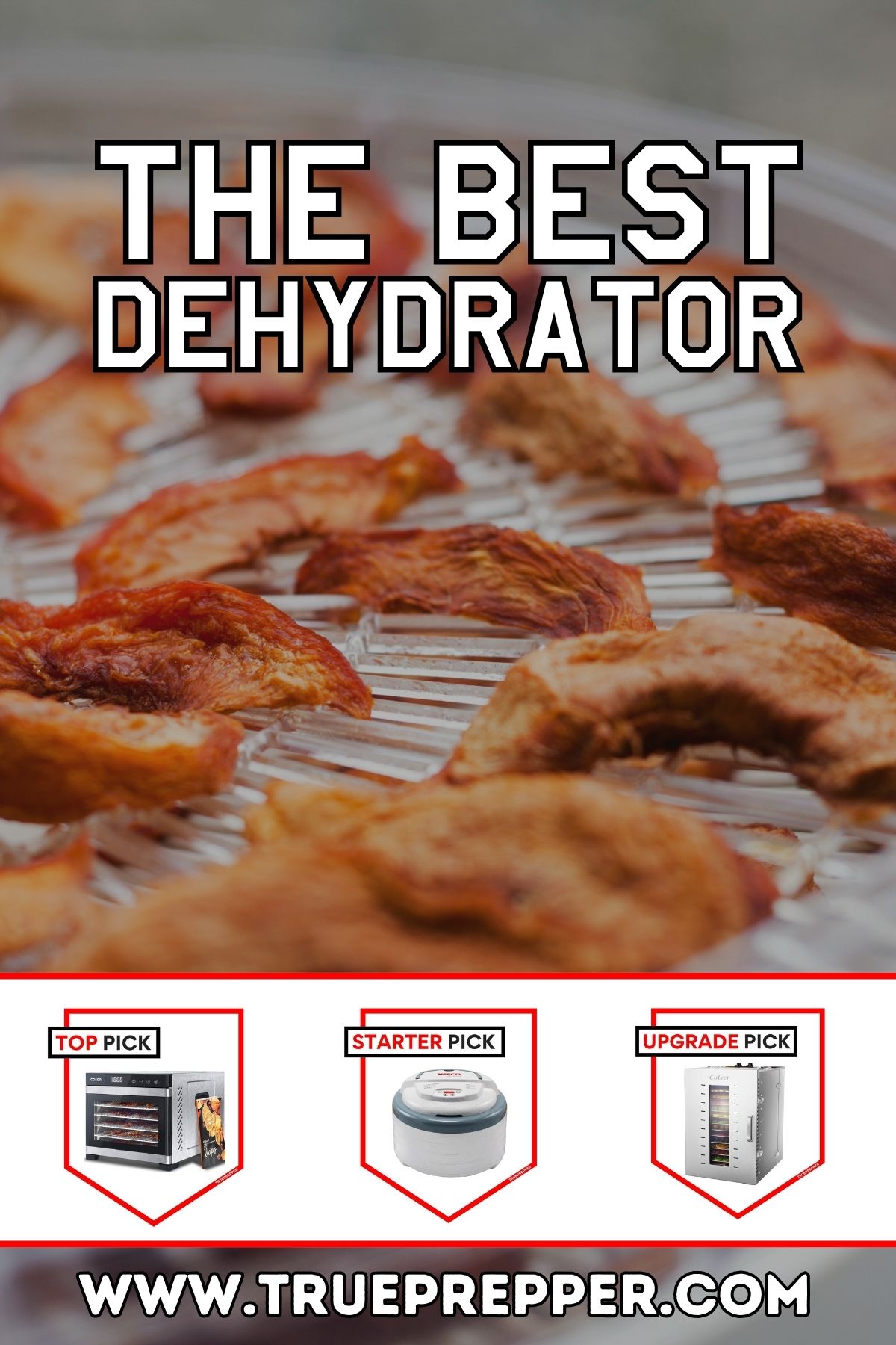 The Best Dehydrator