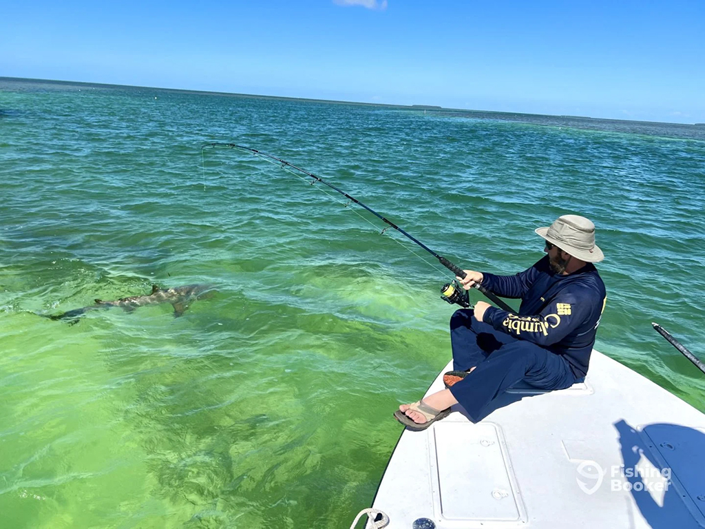 An angler sits at the front of a flats fishing skiff fighting a Shark in shallow water with heavy weight spinning gear