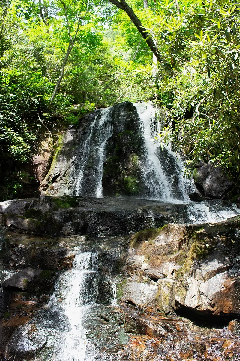 hikes-for-different-skill-levels-great-smoky-mountains
