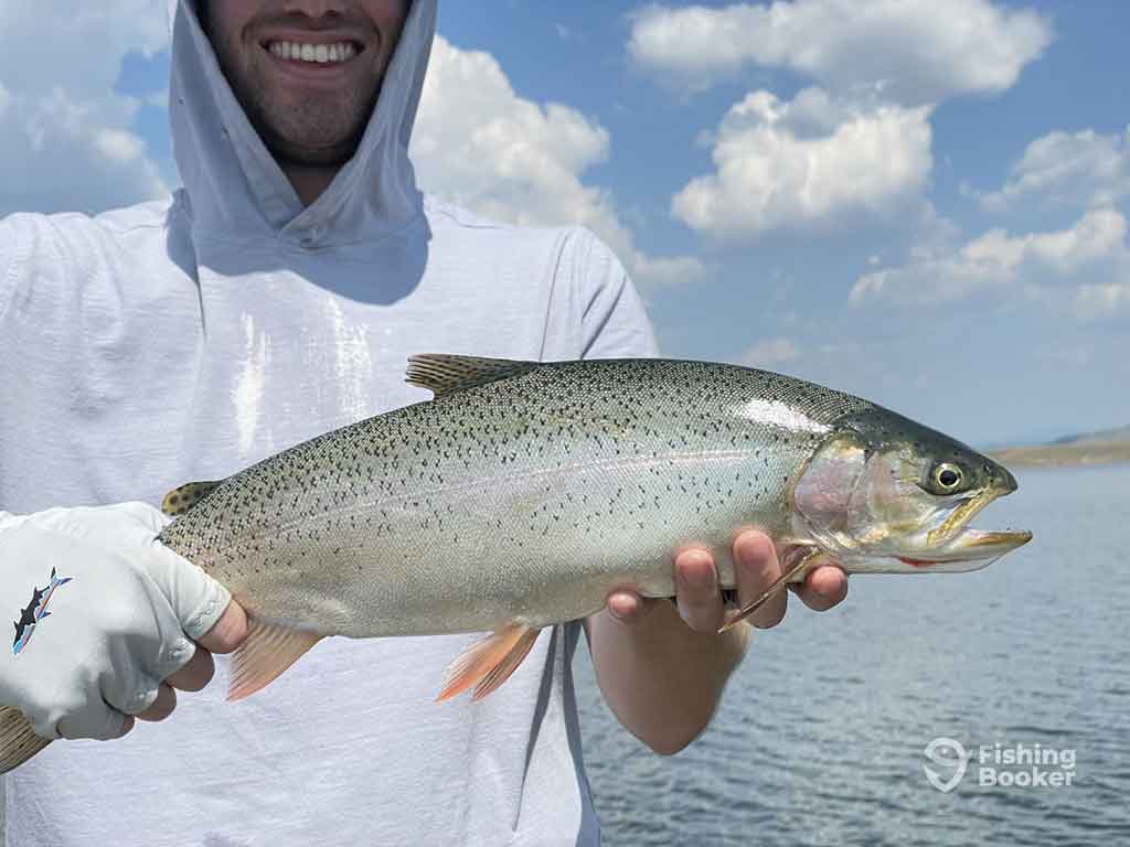 A closeup of a silver Cutthroat Trout being held by a man in a hooded sweater on a day with sunny intervals on a lake