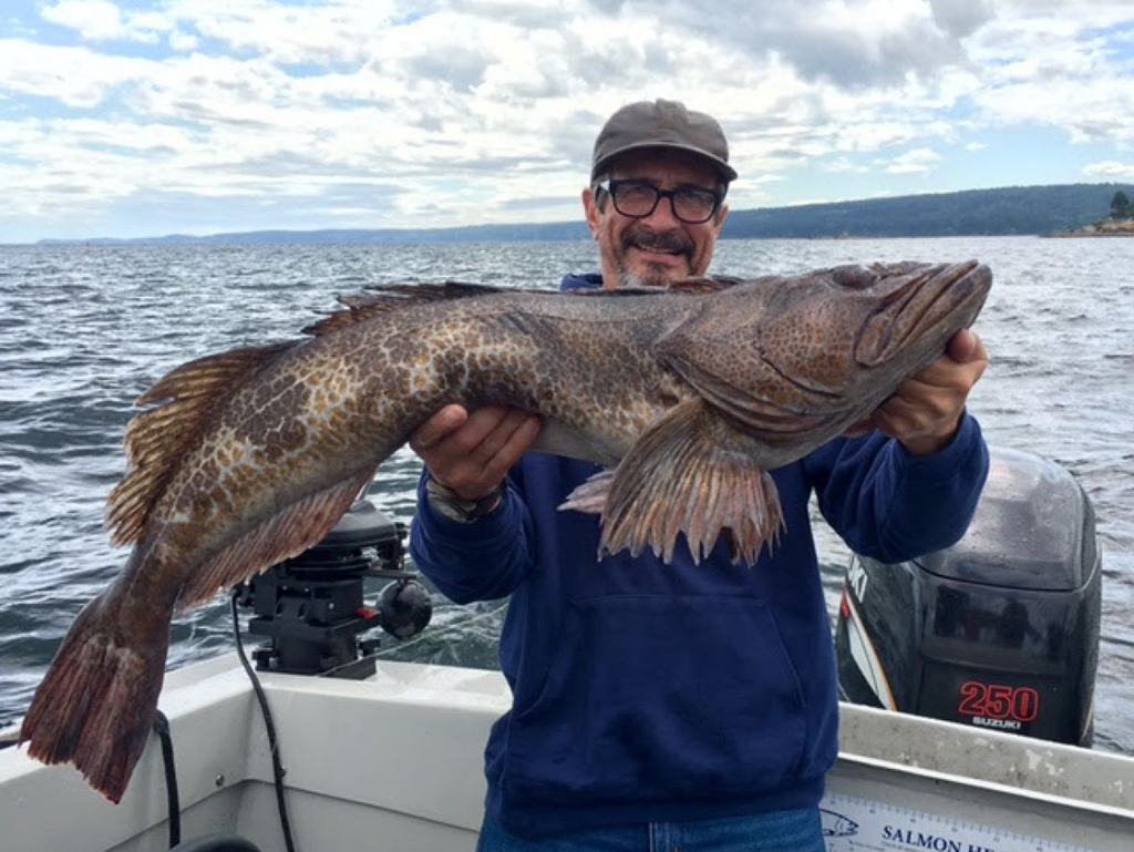 A male angler in glasses and a baseball cap holding a large brown Lingcod on a fishing boat in open waters close to shore