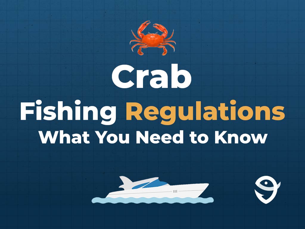 An infographic featuring a vector of a Crab followed by text that says "Crab Fishing Regulations What You Need to Know" along with the FishingBooker logo against a blue background