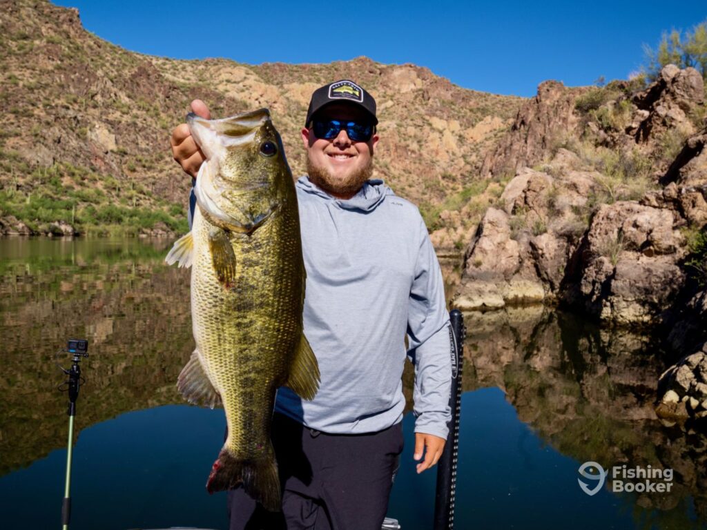 A happy angler holds a large Largemouth Bass towards the camera on a boat on beautiful blue Arizona lake that reflects the rocky shoreline in the background