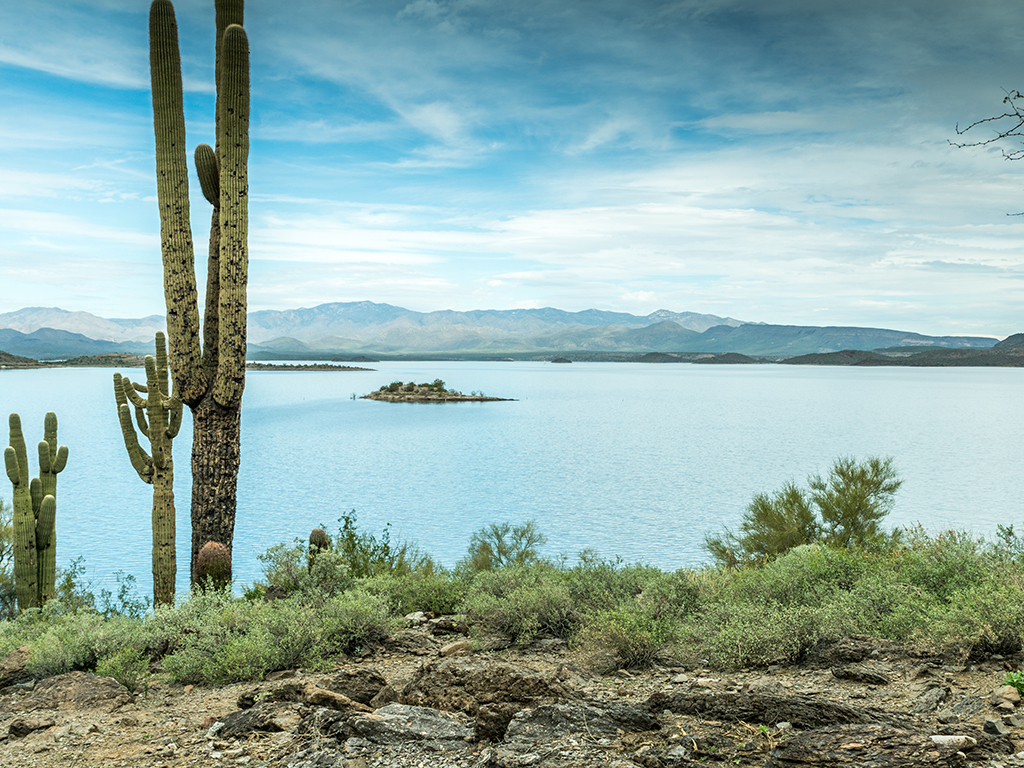 A view towards a lake in Arizona on a cloudy day with cacti to the left of the photo, overlooking the water from a bank, with a small island also visible in the lake