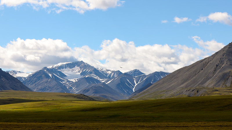 Orange Rivers in Alaska