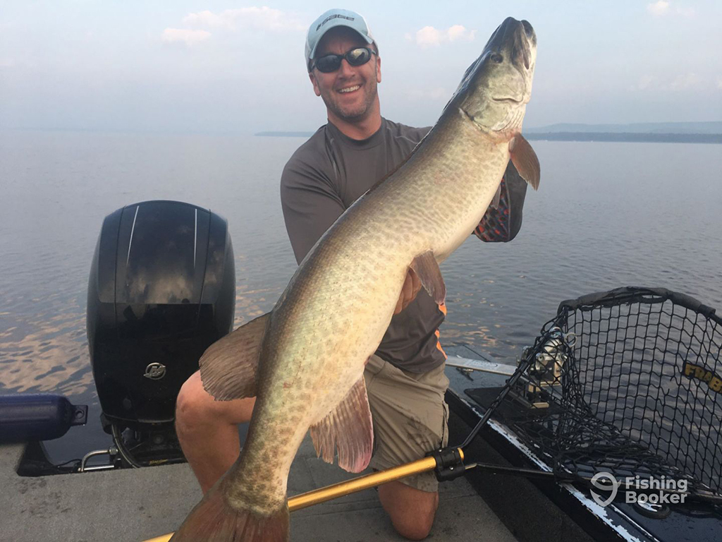 A smiling angler in a baseball cap and sunglasses holds a large Musky diagonally across his body, with a large net and a boat's outboard motor behind him