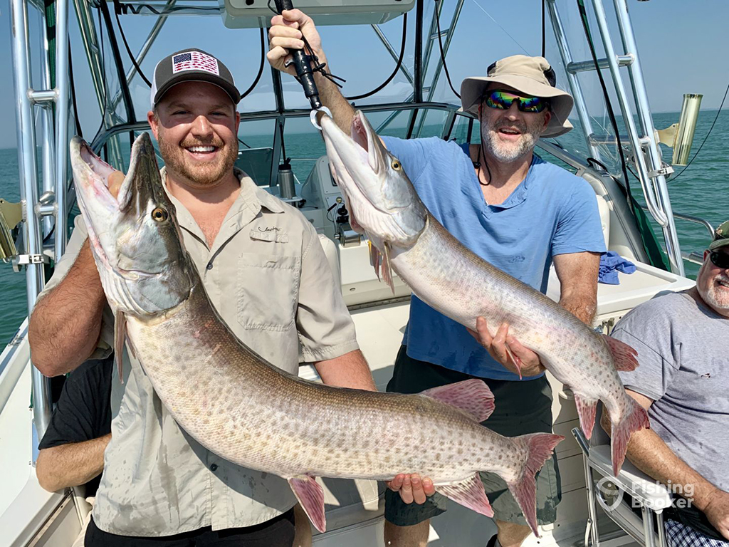 Two anglers stand aboard a boat on a Lake as they each hold a Musky while a third angler looks on the right of the photo