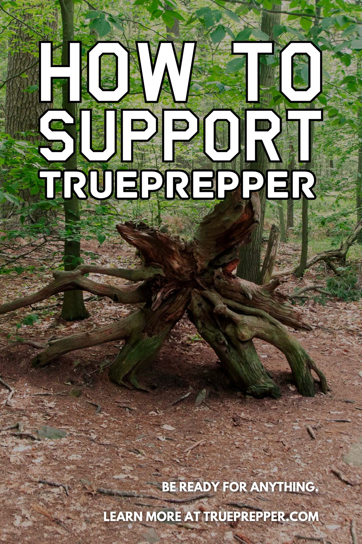 How to Support TruePrepper