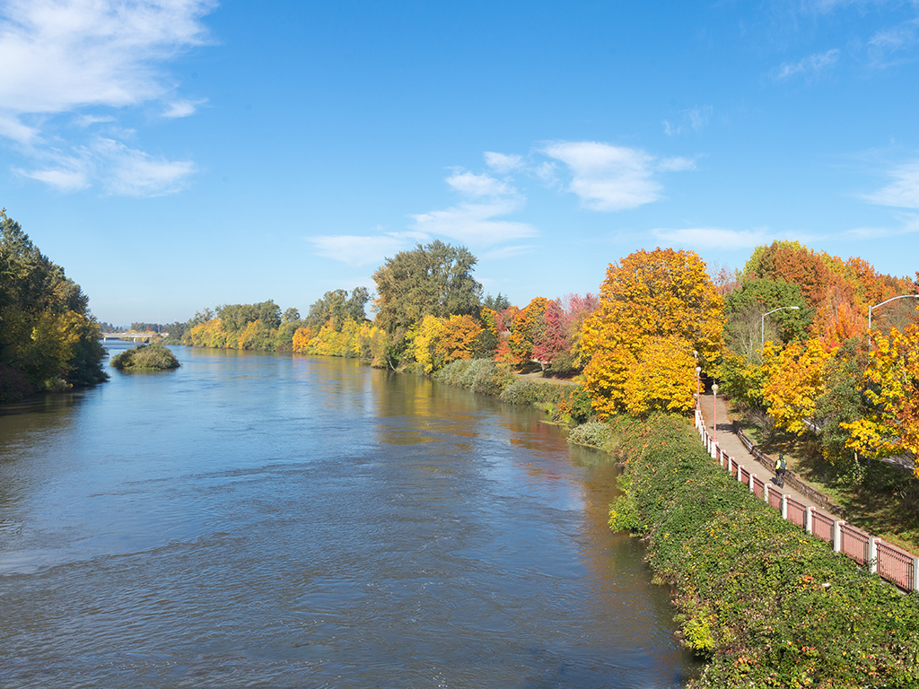 The blue-brown waters of the Willamette River curve towards the left next to banks lined with trees in autumnal colors and a bike path in Eugene, Oregon on a clear day