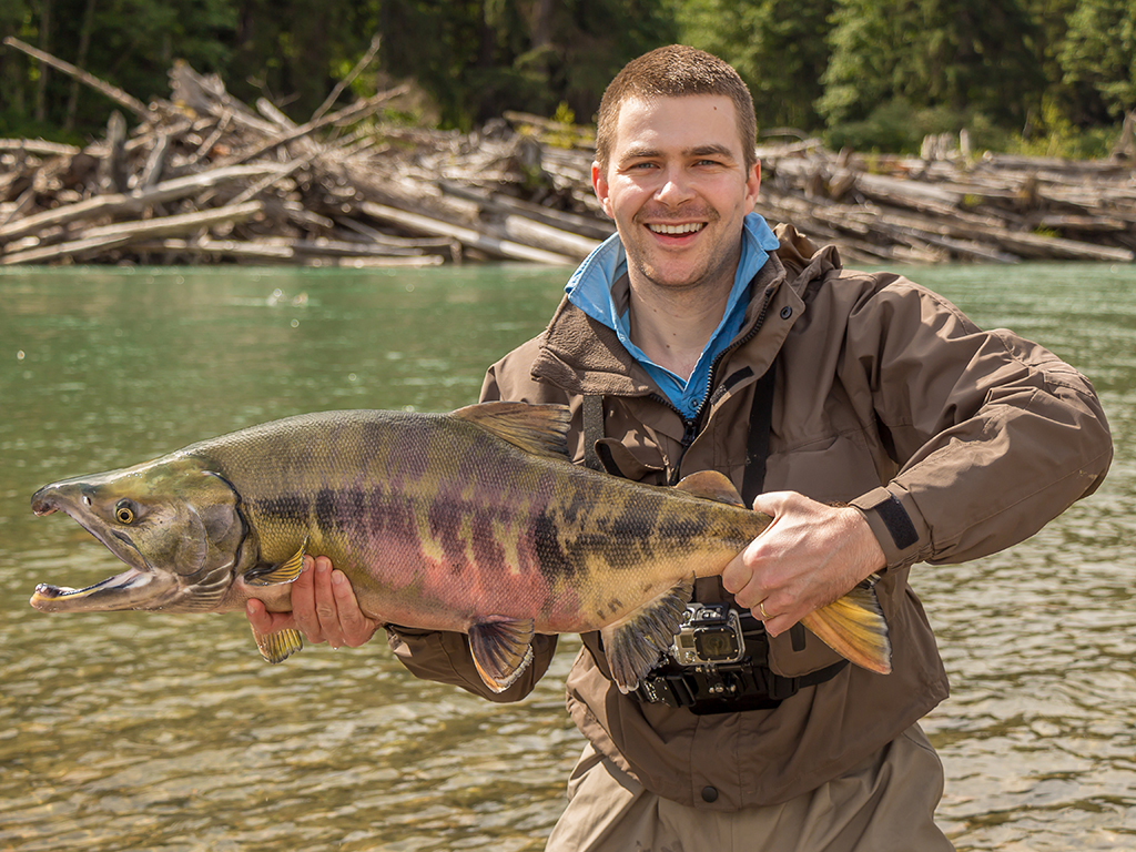 A male angler holds a large Chum Salmon next to a green-brown river with trees and logs visible on the opposite shore