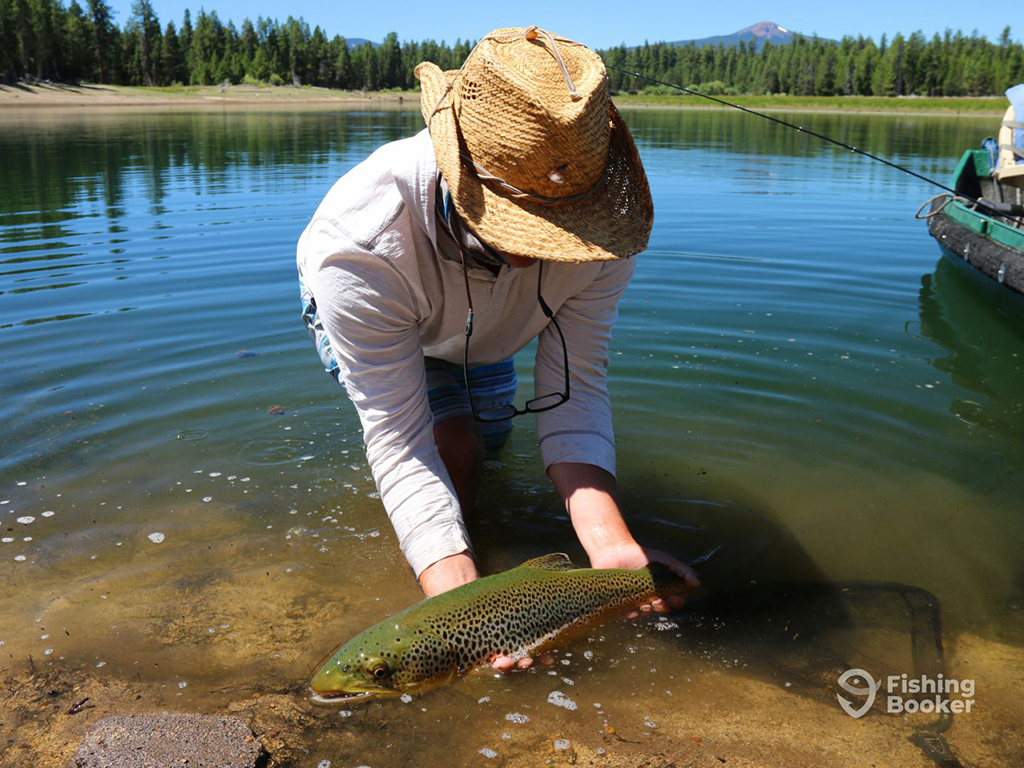 An angler wearing a straw hat and standing in shallow water in Eugene, OR bends over as he releases a Trout, with forested shores and an inflatable boat visible behind him