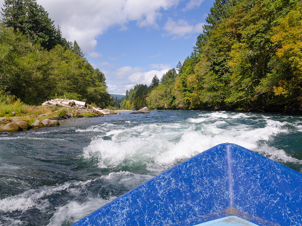 The pointed blue bow of a boat travels across white water between tree-lined banks on the Mckenzie River near Eugene, Oregon