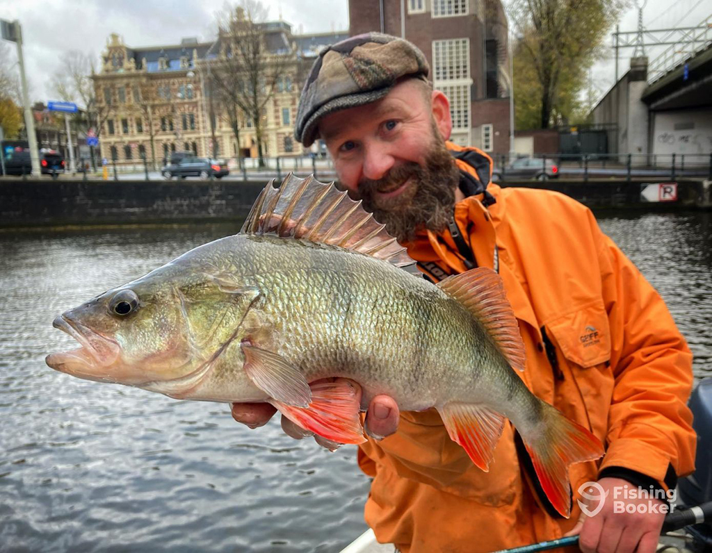 An angler in an orange jacket holds a European Perch towards the camera with the calssical buildings of Amsterdam visible in the background