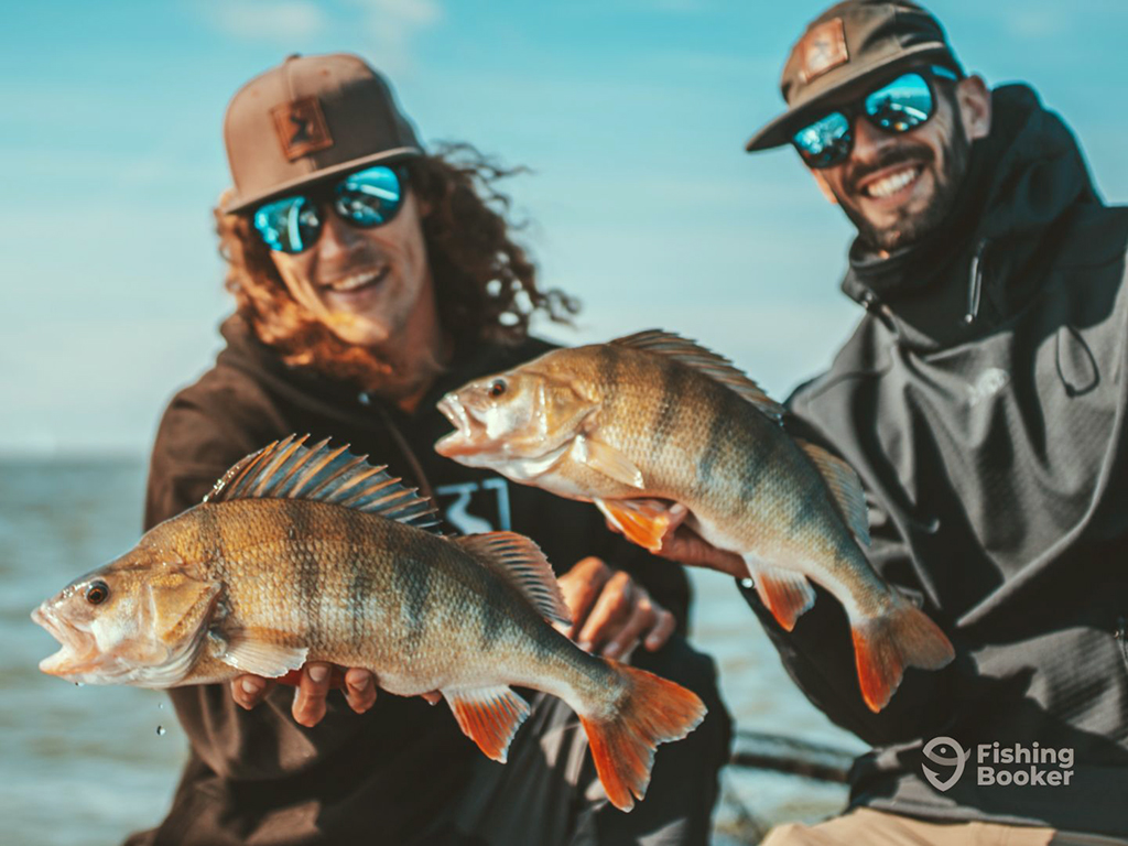 Two smiling male anglers in the Netherlands hold a European Perch each towards the camera with the open waters of a lake behind them