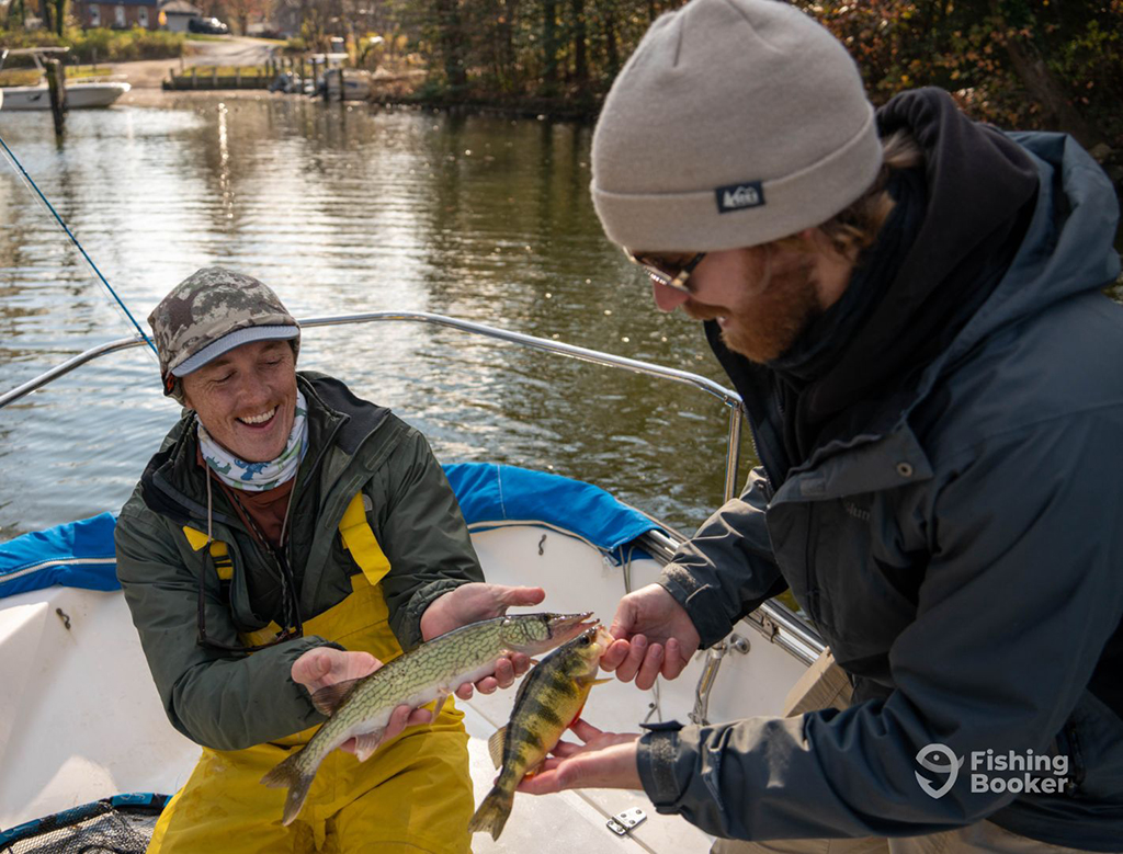 Two laughing male anglers compare fish on a river in the fall. The angler standing closer to the camera is holding a Yellow Perch, while the other holds a juvenile Pike
