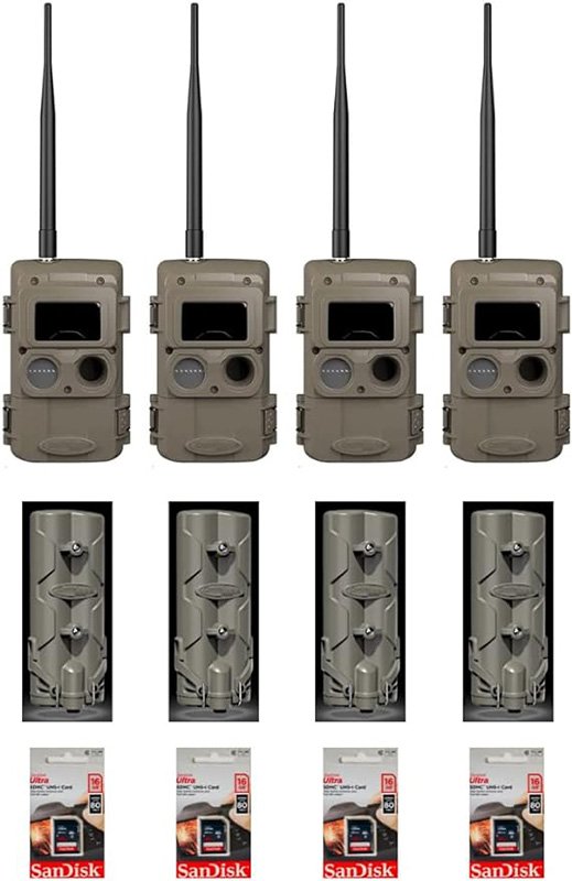 best-trail-cameras-to-watch-wildlife