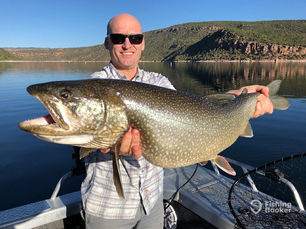 An angler holds a huge Lake Trout on a boat on Flaming Gorge Reservoir in Utah on a sunny day