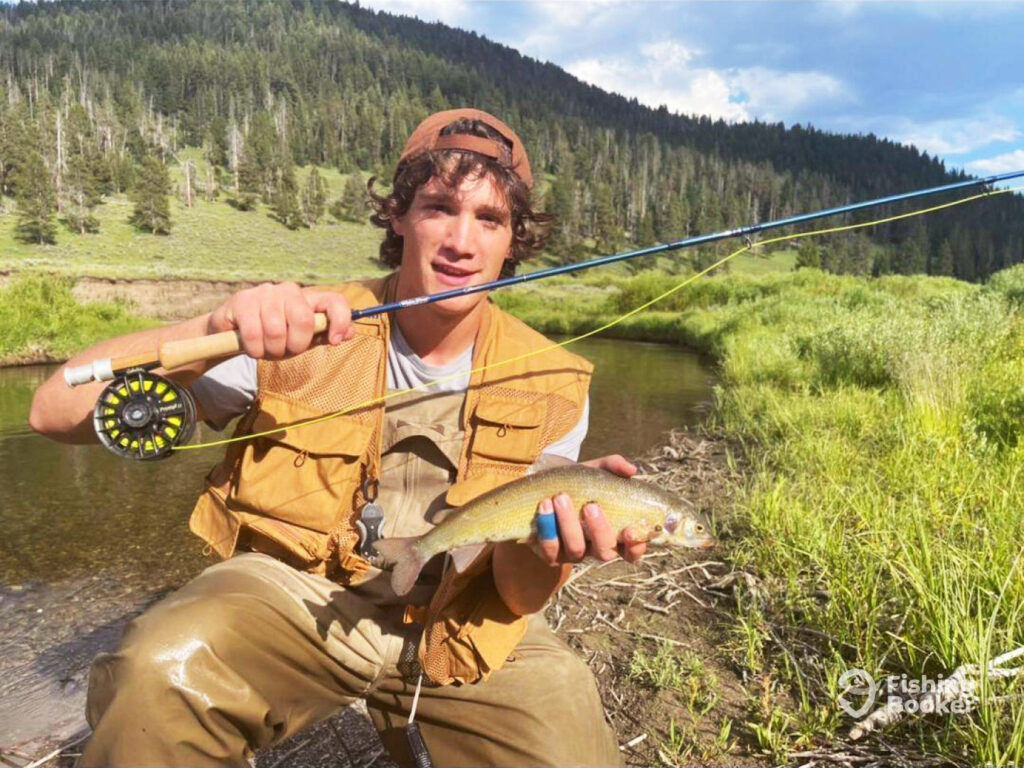 An angler kneels by a mountain stream in Utah holding a Grayling and the fly rod and reel that he used to catch it