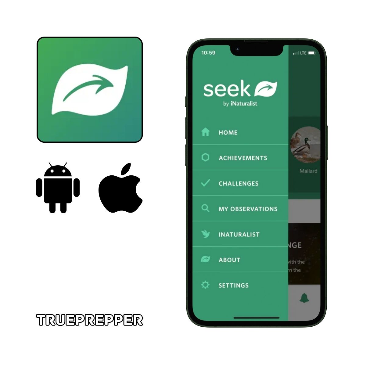 Seek App