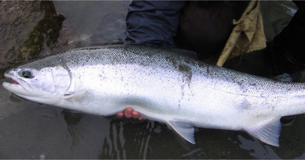 Pacific Angler Friday Fishing Report: January 5, 2024