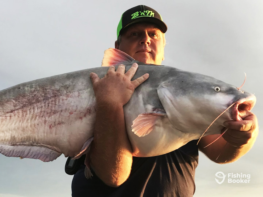 A man in a baseball hat holds a large Catfish across his chest against the backdrop of a cloudy sky