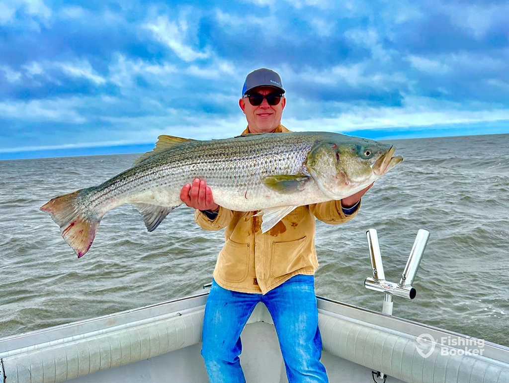 An angler holds a large Striped Bass horizontally while standing at the corner of a large sportfishing boat on a choppy ocean with cloudy skies in the background
