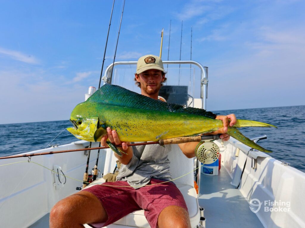 A man on a small center console boat holds a bright yellow and green Mahi Mahi as well as a large saltwater fly rod and reel
