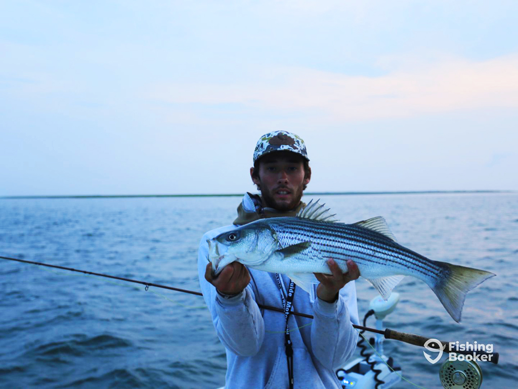 An angler holds a Striped Bass and a fly rod while standing on a small boat in shallow inshore water in low light
