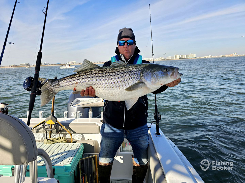 A man in cold weather clothing and sunglasses holds a large Striped Bass while standing on a boat with fishing rods placed in rod holders nearby