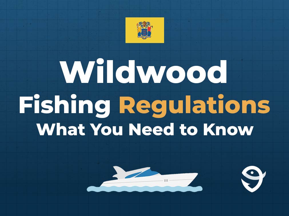 An infographic featuring the flag of New Jersey, a vector of a boat, and the FishingBooker logo, along with text stating "Wildwood Fishing Regulations: What You Need to Know" against a blue background
