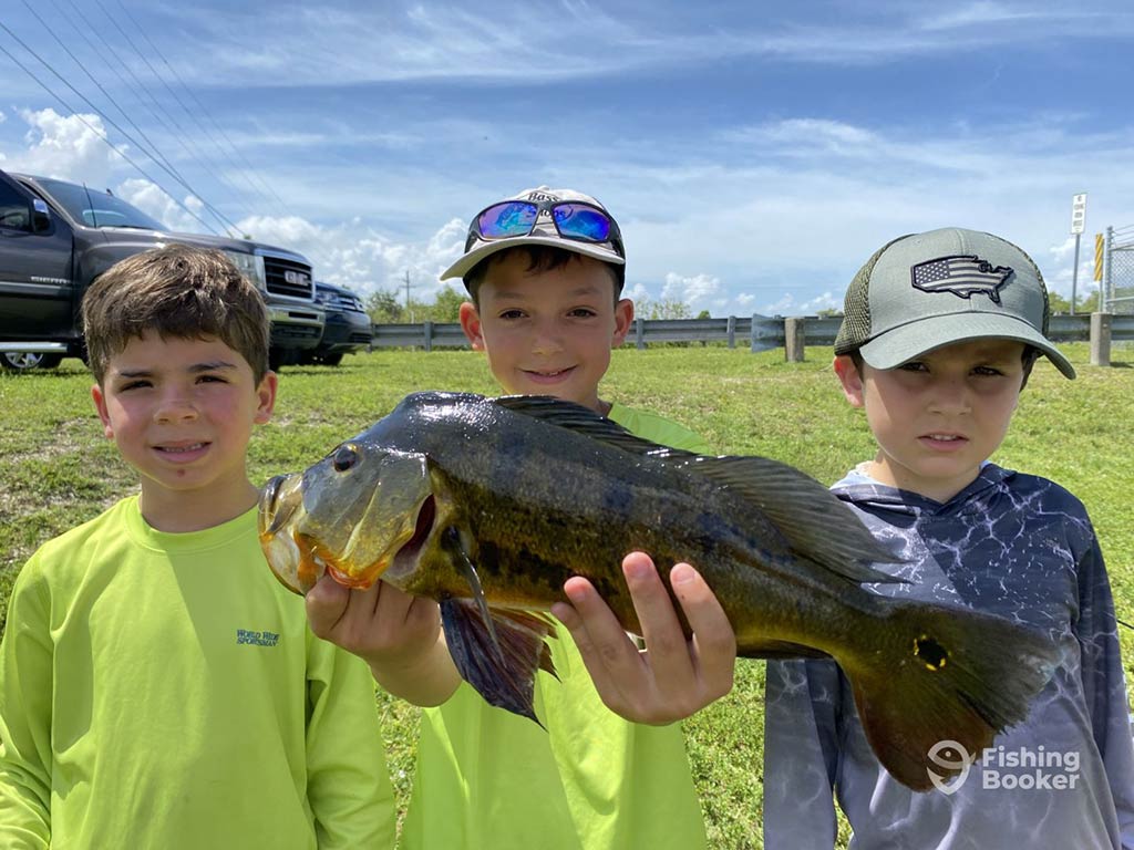 Three young boys standing on a grassy knoll, with the boy in the middle holding a Peacock Bass on a sunny day