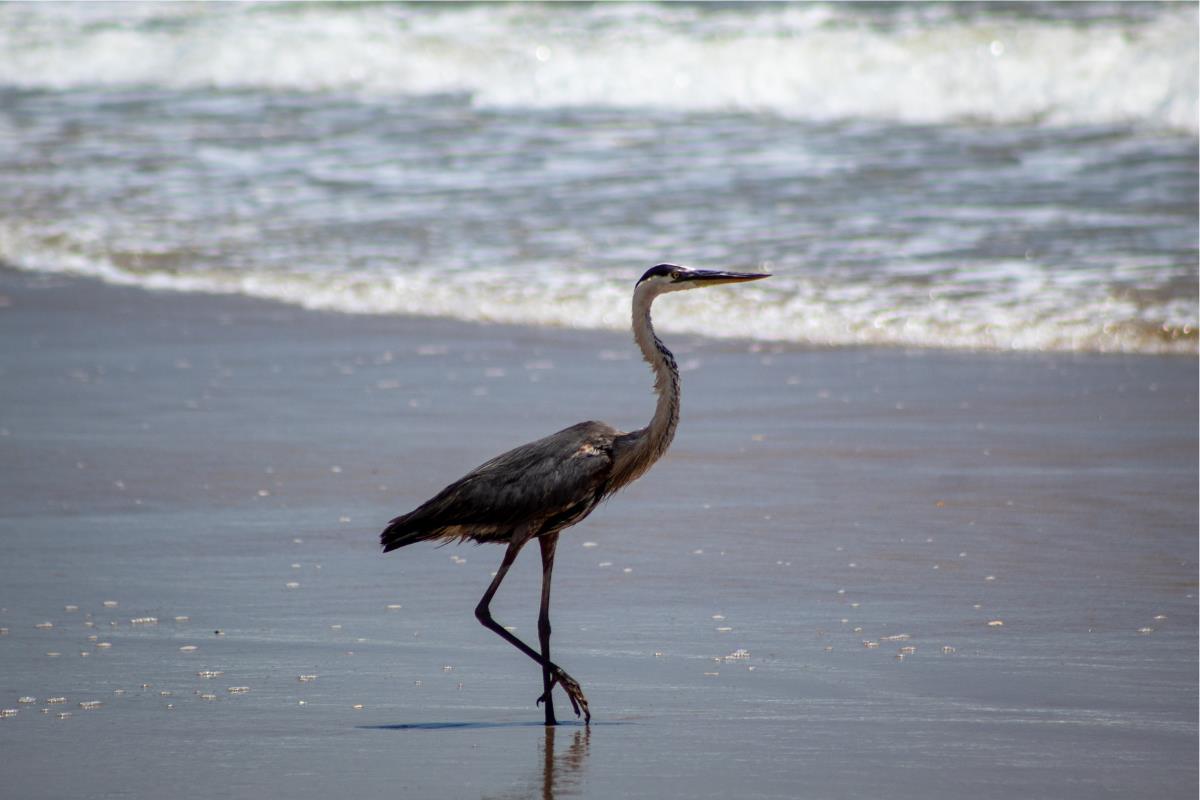 visiting a national seashore