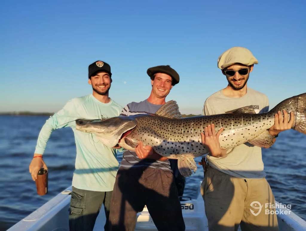 Three anglers stand on a boat, all holding a large Surubi across them. The fish is almost as wide as the boat and all the anglers are smiling