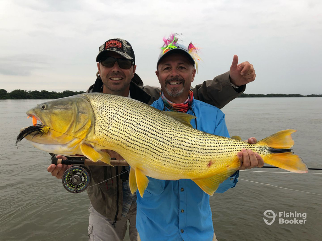 An angler and a fishing guide hold a Golden Dorado that is shining brightly despite the cloudy skies. The fishing guide has a selection of colorful flies on the brim of his hat and the angler is holding a fly rod