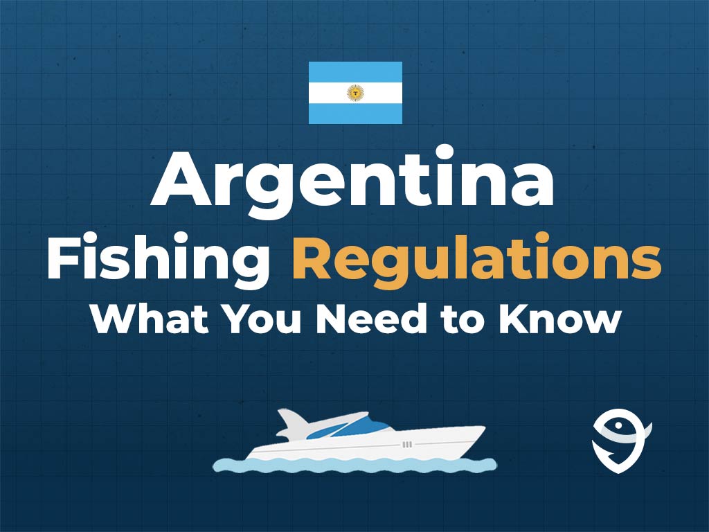 An infographic featuring the flag of Argentina, a vector of a boat, and the FishingBooker logo, along with text stating "Argentina Fishing Regulations: What You Need to Know" against a blue background