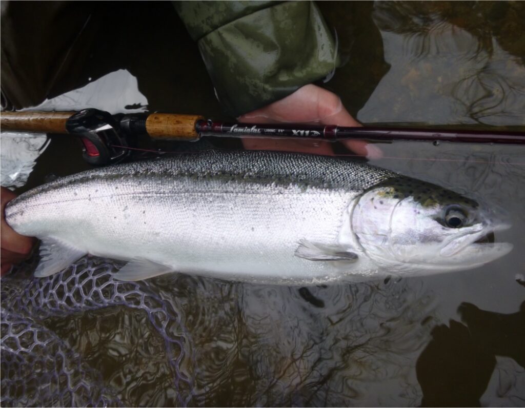 Pacific Angler Friday Fishing Report: January 12, 2024