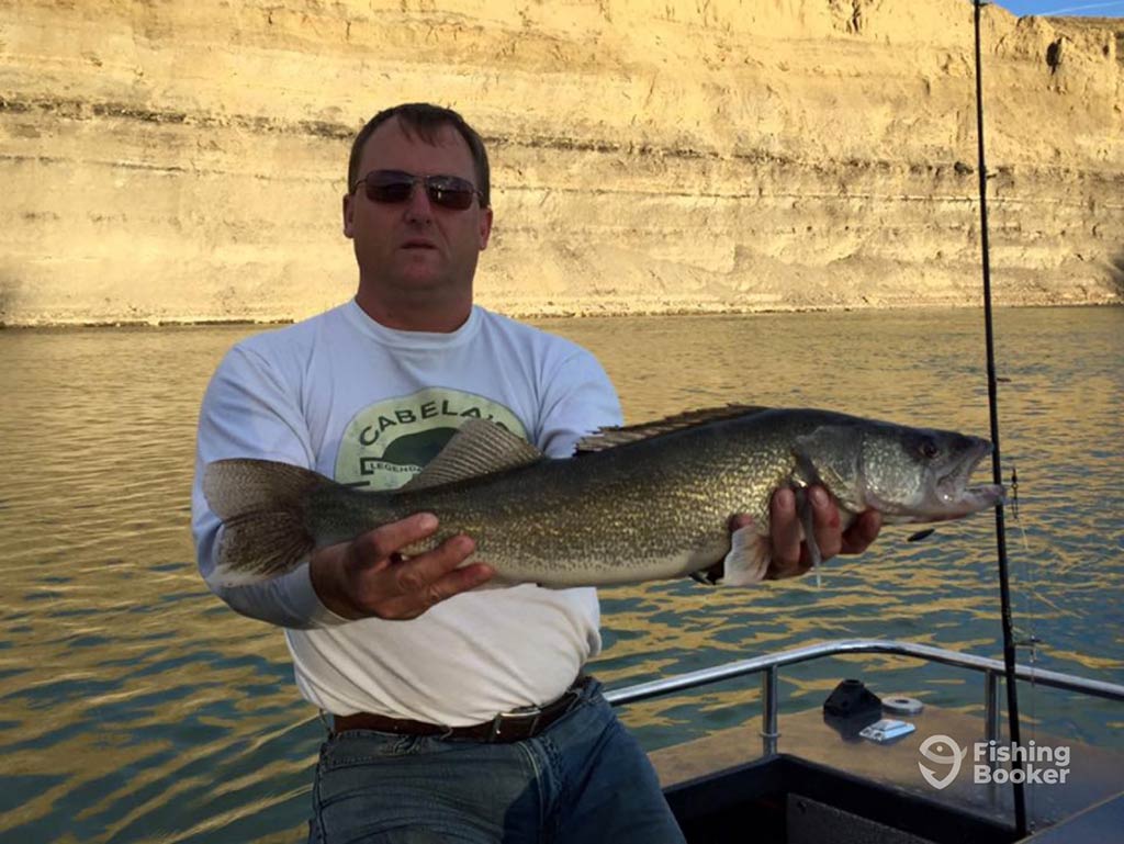 A man in a white t-shirt standing on a boat on a lake in Alberta, holding a Walleye with the wall of a dam visible in the sunshine behind him