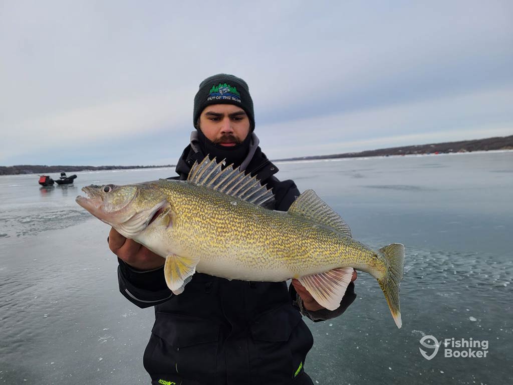 A man in winter gear standing on a frozen lake in Alberta and holding a Walleye on an overcast day