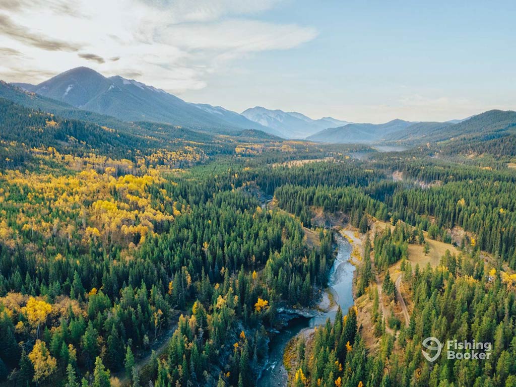 A narrow river runs through a low-lying evergreen forest surrounded by mountains with low-lying fog remaining in the distance