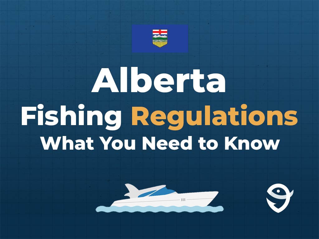 Fishing in Alberta The Complete Guide for 2024