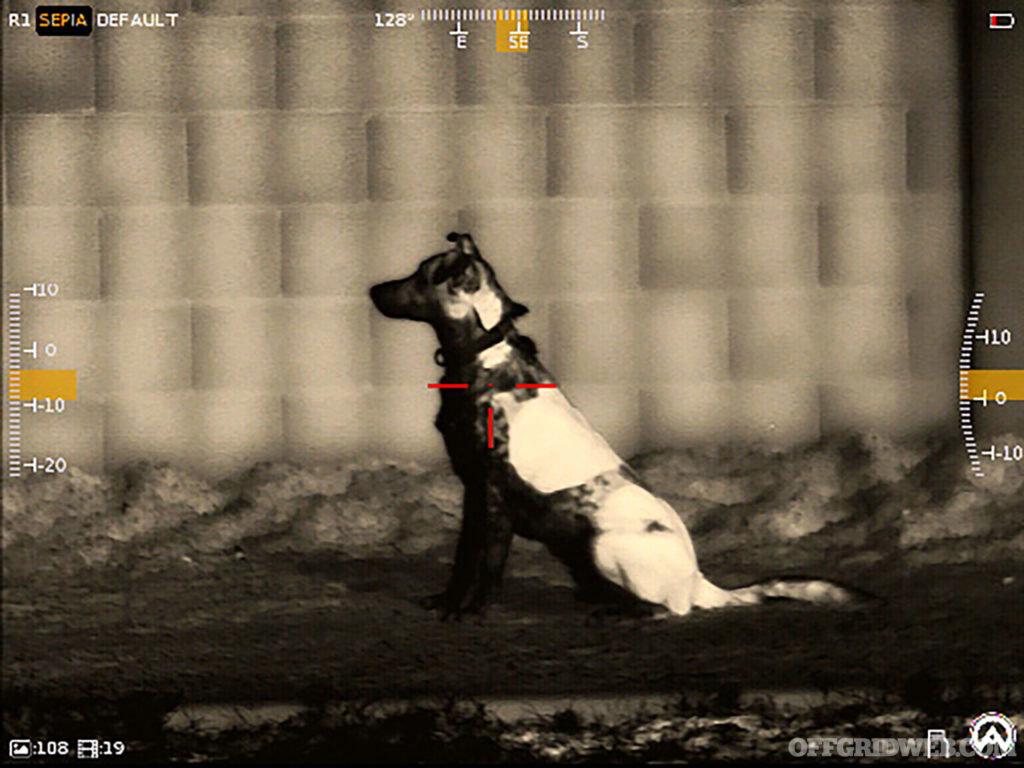 Thermal sepia view of a dog.