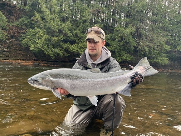 Angler Catches Massive Lake Ontario Trib Winter Steelhead