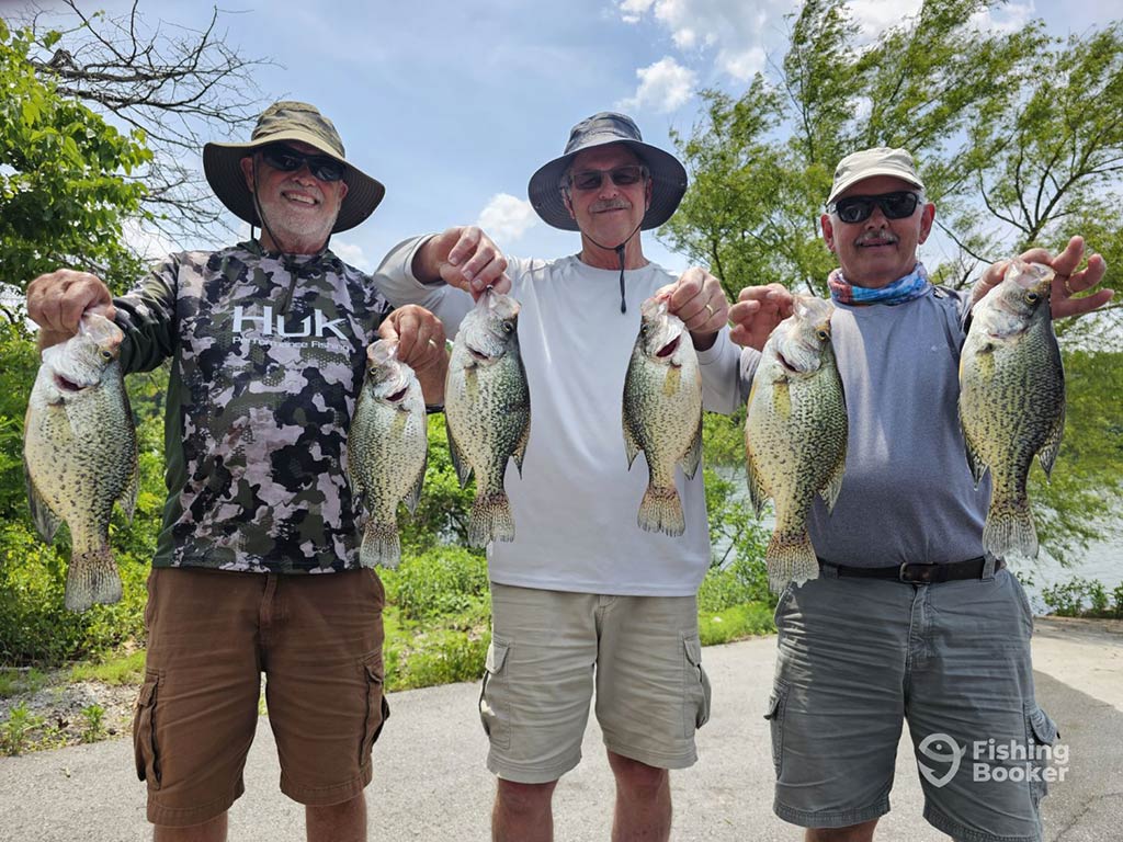 Three men in summer fishing gear, each holding two Crappie each on shore with some greenery visible behind them
