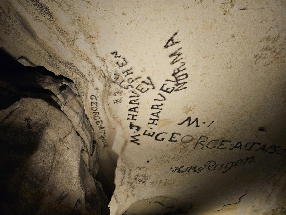 Gothic Avenue Mammoth Cave