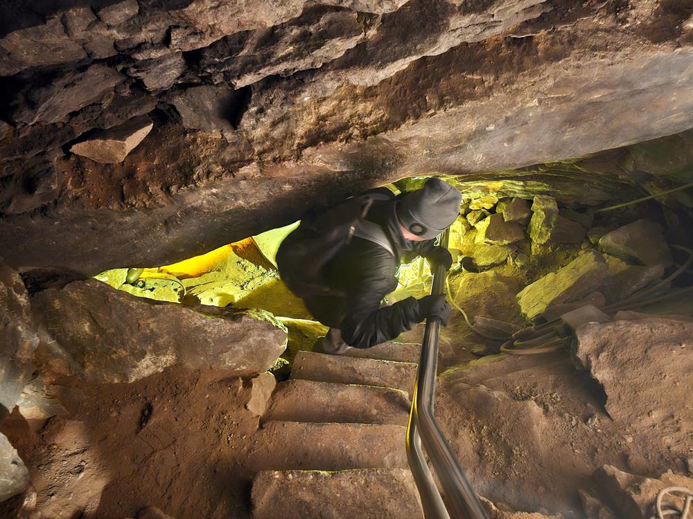 Mammoth Cave Steps of TIme